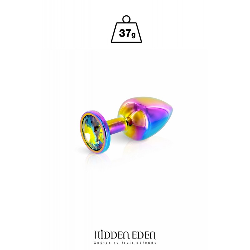 Plug bijou aluminium Rainbow XS - Hidden Eden