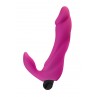 Vibro rechargeable Bifun Pro - Alive